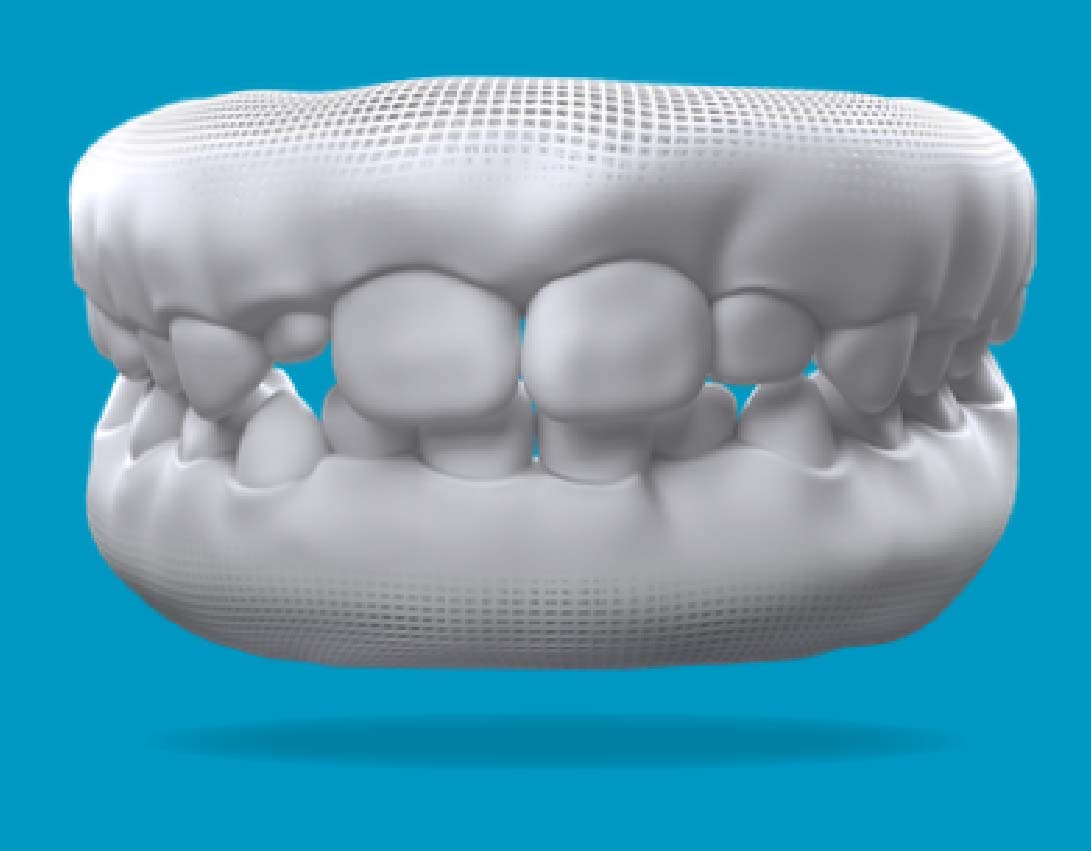 Baby and permanent teeth